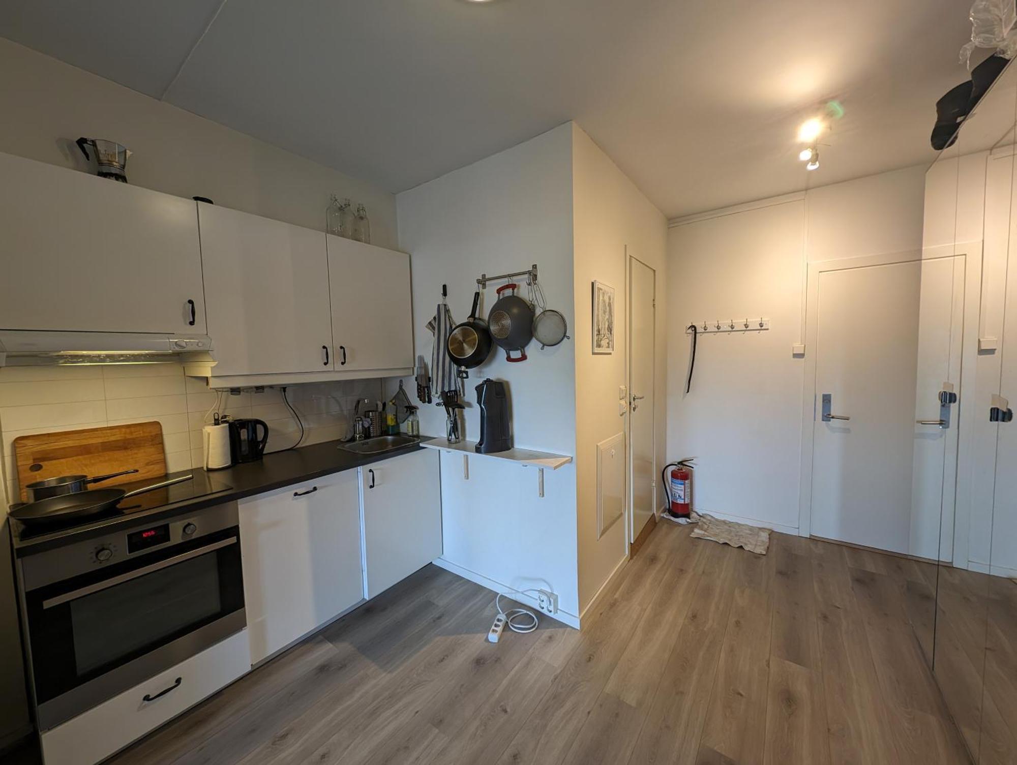Spacious And Cozy Study Apartment With Balcony Осло Екстер'єр фото