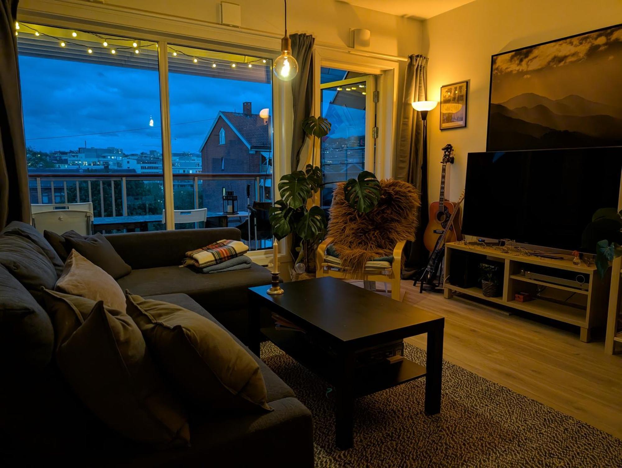 Spacious And Cozy Study Apartment With Balcony Осло Екстер'єр фото